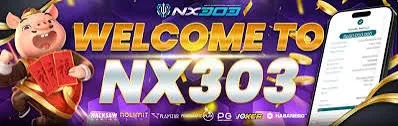 nx303